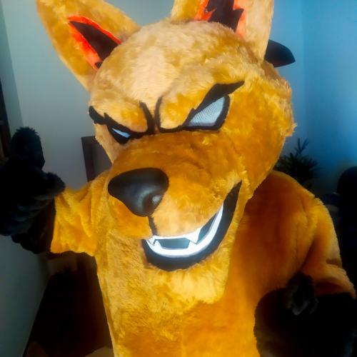 NOVO BASQUETE PONTA GROSSA