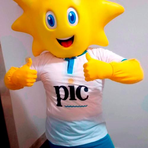PIC