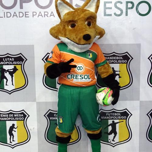 PREFEITURA DE VIANÓPOLIS